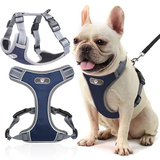 Harnais d'entraînement pour chiens ASTRO bleu taille S