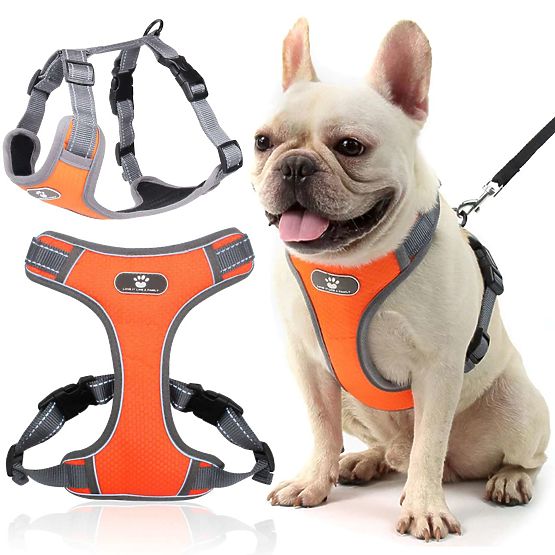 Harnais d'entraînement pour chiens ASTRO orange taille S
