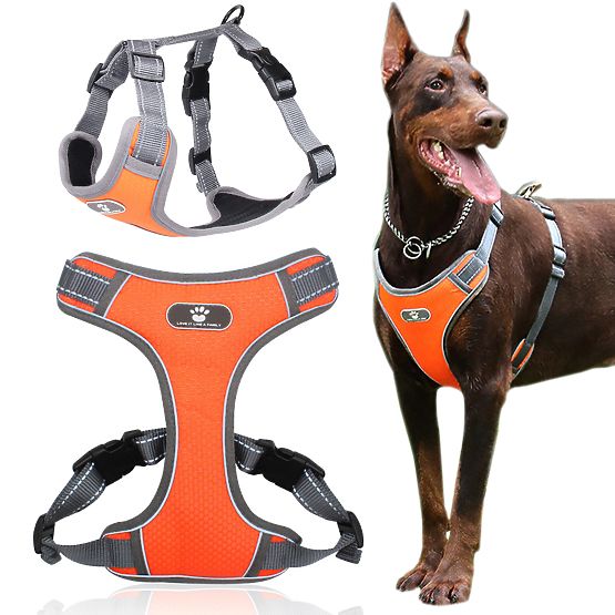 Harnais de marche d'entraînement pour chien ASTRO orange taille XL