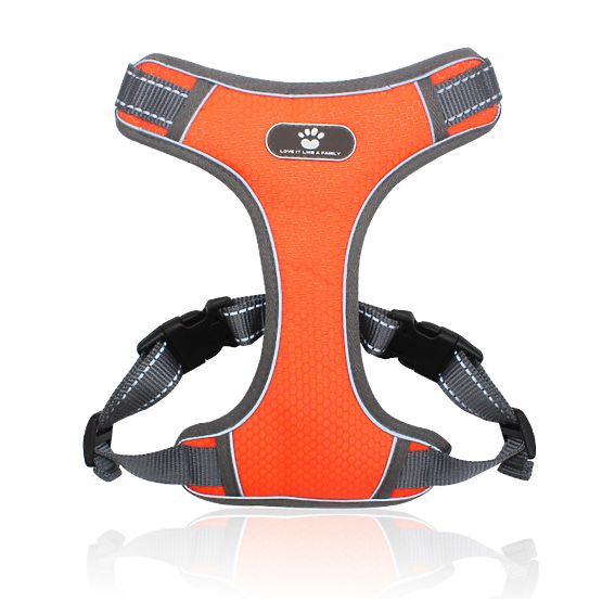 Harnais de marche d'entraînement pour chien ASTRO orange taille XL