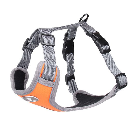 Harnais de marche d'entraînement pour chien ASTRO orange taille XL