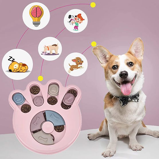 Jeu de puzzle jouet pour chien chat Brady rose