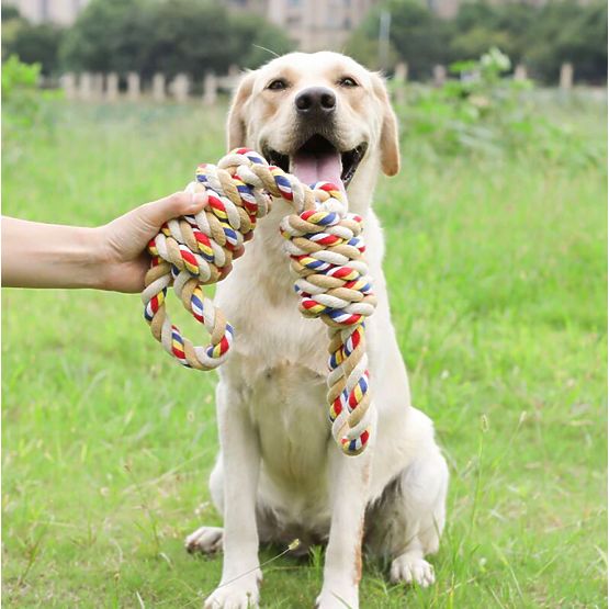 Jouet à tirer avec nœuds WALLY 60 cm