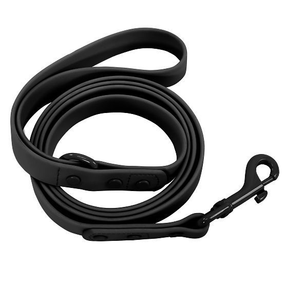 Laisse et collier pour chien PJ-067 noir S