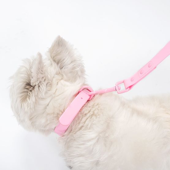 Laisse et collier pour chien PJ-068 rose S