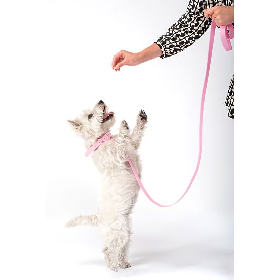 Laisse et collier pour chien PJ-068 rose S