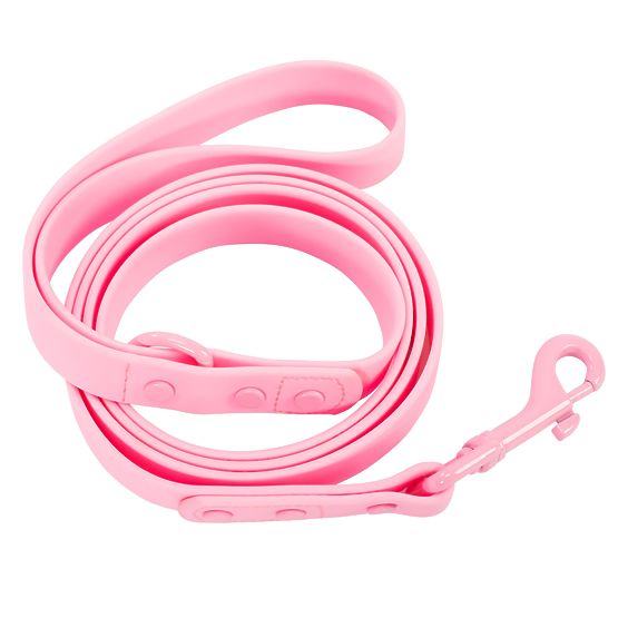 Laisse et collier pour chien PJ-068 rose S