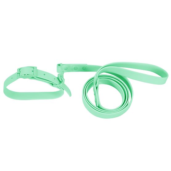 Laisse et collier pour chien PJ-069 vert S