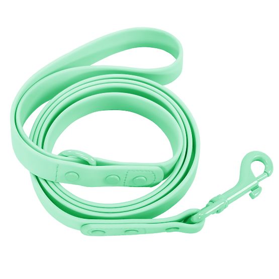 Laisse et collier pour chien PJ-069 vert S