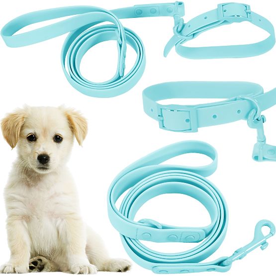 Laisse et collier pour chien PJ-070 bleu S