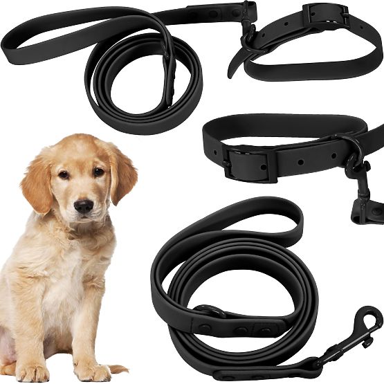 Laisse et collier pour chien PJ-071 noir M