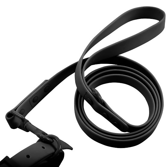 Laisse et collier pour chien PJ-071 noir M