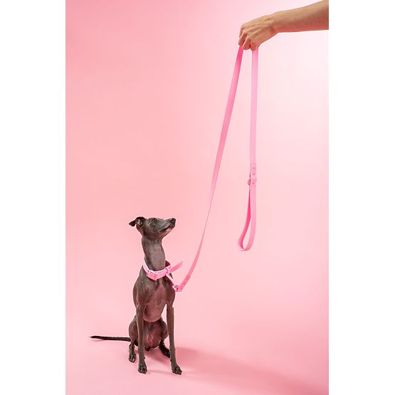 Laisse et collier pour chien PJ-072 rose M