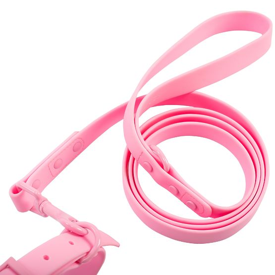 Laisse et collier pour chien PJ-072 rose M