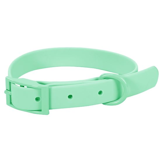 Laisse et collier pour chien PJ-073 vert M