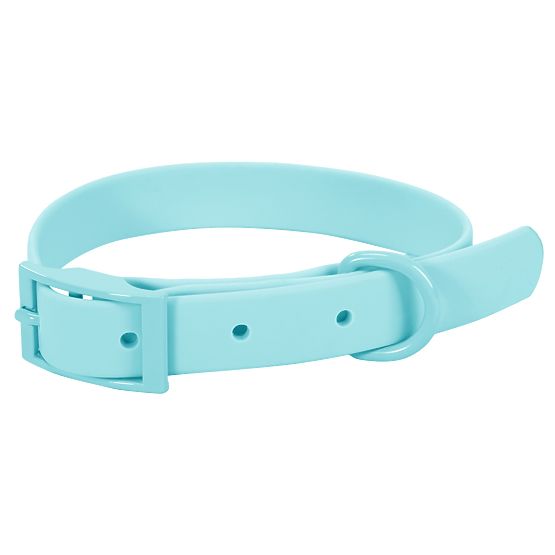 Laisse et collier pour chien PJ-074 bleu M