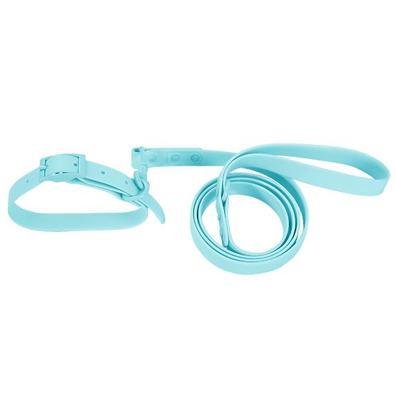 Laisse et collier pour chien PJ-074 bleu M