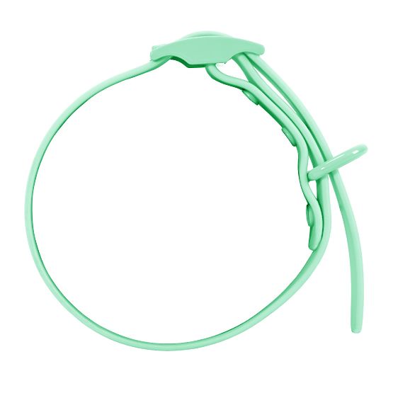 Laisse et collier pour chien PJ-077 vert L