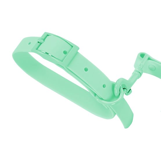 Laisse et collier pour chien PJ-077 vert L