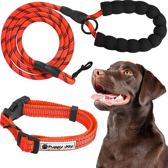 Laisse et collier réfléchissants pour chien PJ-035 rouge