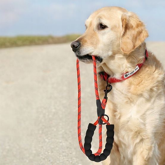 Laisse et collier réfléchissants pour chien PJ-035 rouge