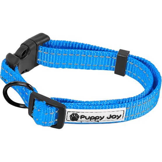 Laisse et collier réfléchissants pour chien PJ-037 bleu