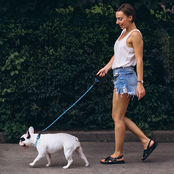 Laisse et collier réfléchissants pour chien PJ-037 bleu