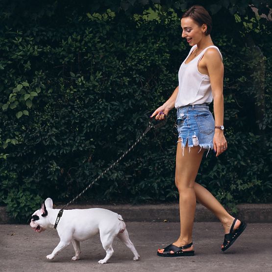 Laisse et collier réfléchissants pour chien PJ-091 noir