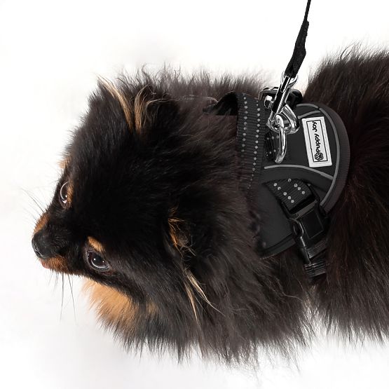 Laisse et harnais pour chien PJ-047 noir XS