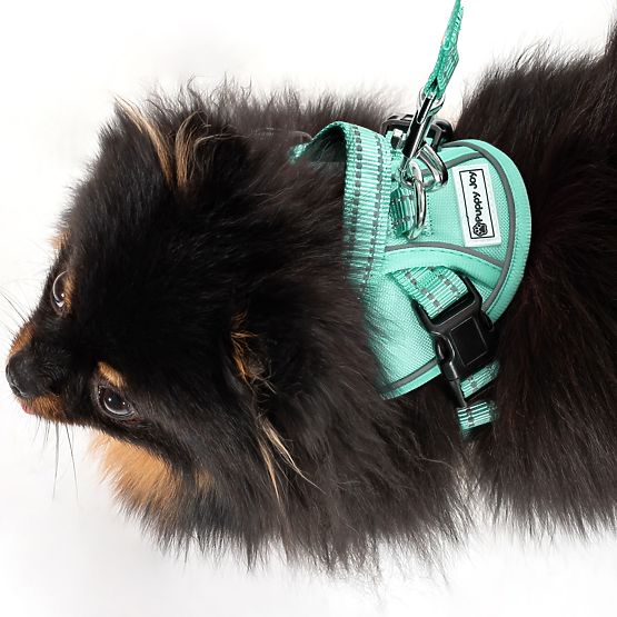 Laisse et harnais pour chien PJ-049 vert XS