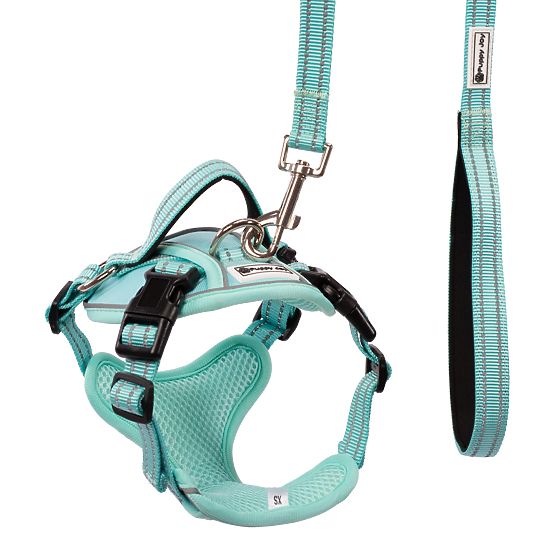 Laisse et harnais pour chien PJ-049 vert XS