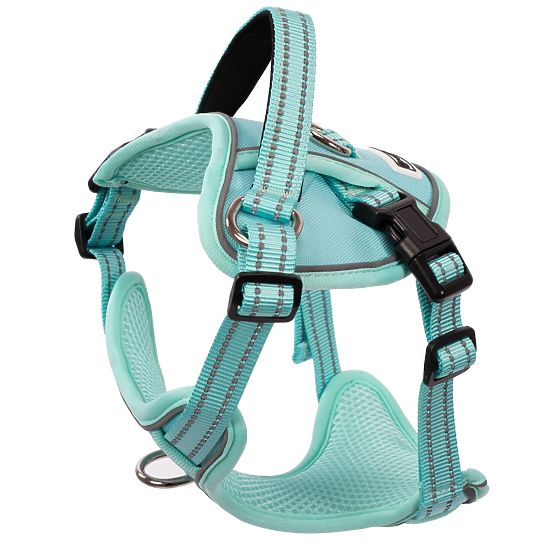Laisse et harnais pour chien PJ-049 vert XS