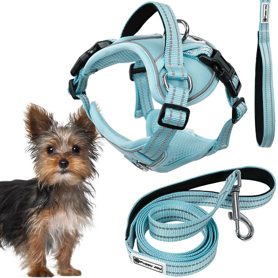 Laisse et harnais pour chien PJ-050 bleu XS