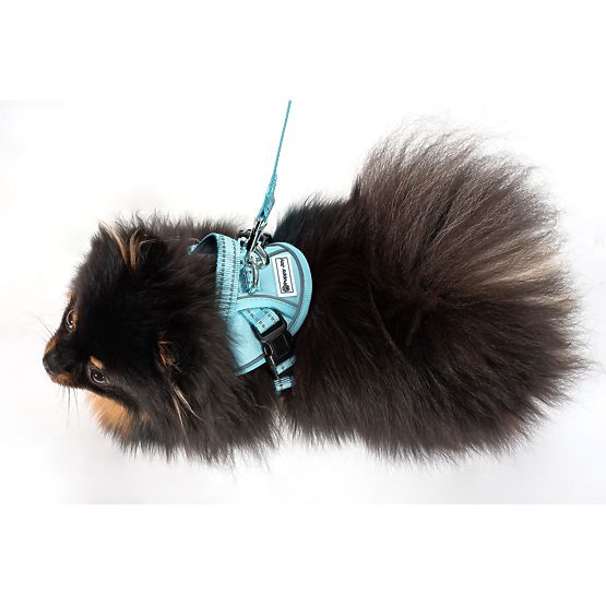 Laisse et harnais pour chien PJ-050 bleu XS