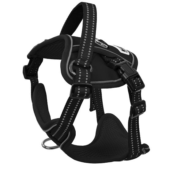 Laisse et harnais pour chien PJ-051 noir S