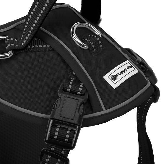 Laisse et harnais pour chien PJ-055 noir M