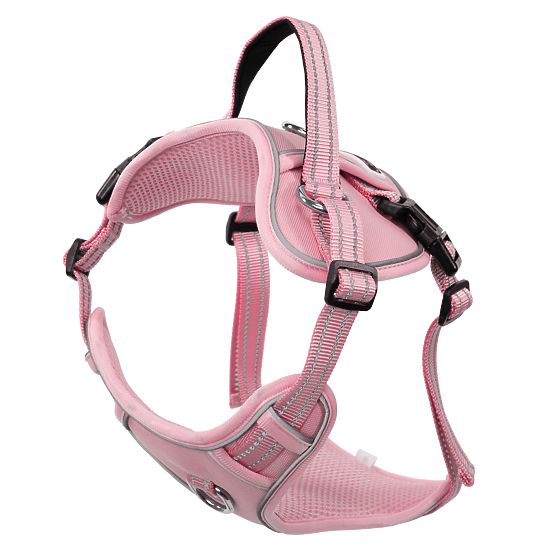 Laisse et harnais pour chien PJ-056 rose M