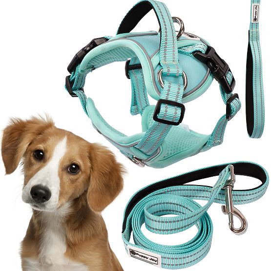 Laisse et harnais pour chien PJ-057 vert M