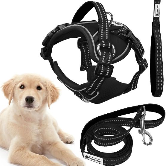 Laisse et harnais pour chien PJ-059 noir L