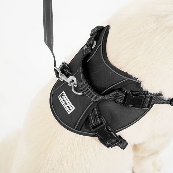 Laisse et harnais pour chien PJ-059 noir L