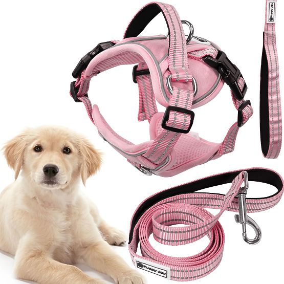 Laisse et harnais pour chien PJ-060 rose L