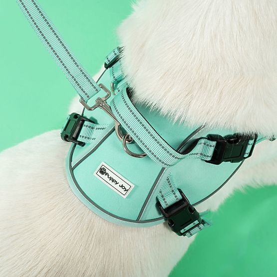 Laisse et harnais pour chien PJ-061 vert L