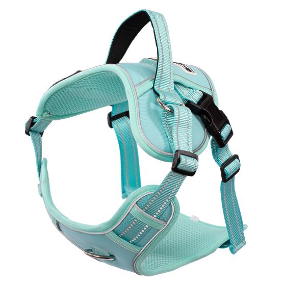 Laisse et harnais pour chien PJ-061 vert L