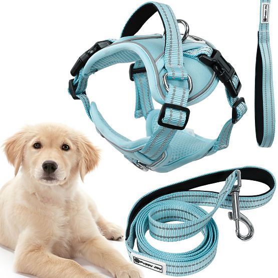 Laisse et harnais pour chien PJ-062 bleu L