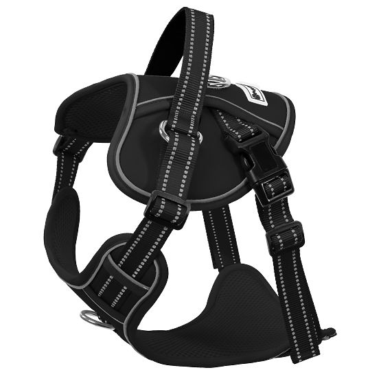 Laisse et harnais pour chien PJ-063 noir XL