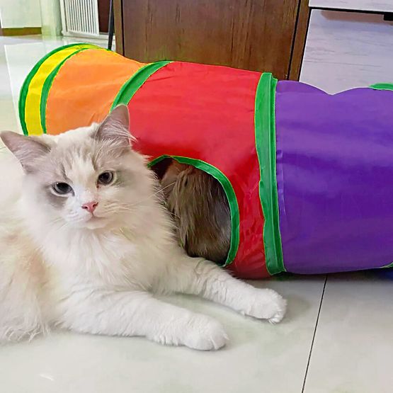 Long tunnel ressort jouet pour chat FIGARO