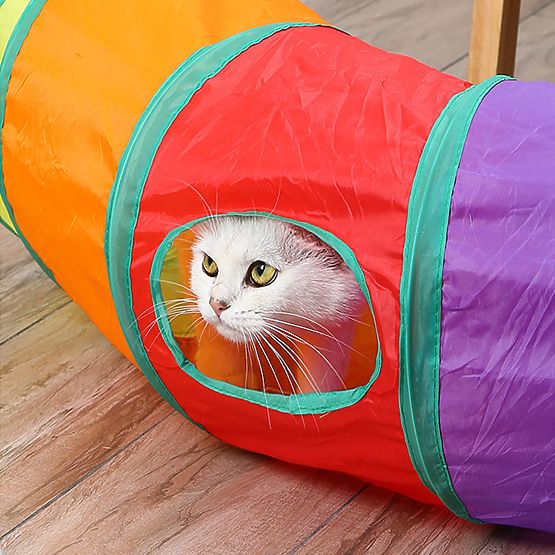 Long tunnel ressort jouet pour chat FIGARO
