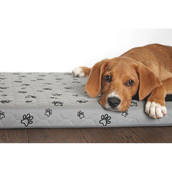 Matelas pour chiens - gris - S