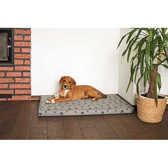 Matelas pour chien - gris - M