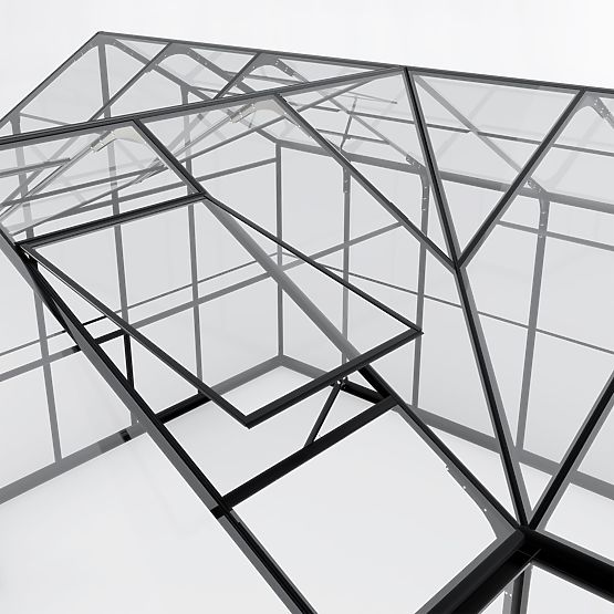 Orangerie de jardin Royal Green Standard 16,6 m² avec base, verre trempé 4 mm, aluminium, noir